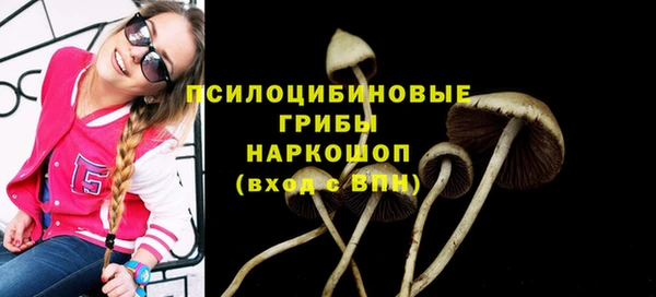 стафф Надым