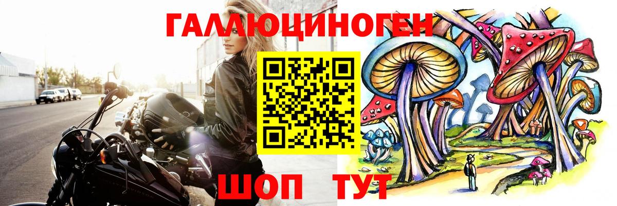 Псилоцибиновые грибы прущие грибы Коммунар