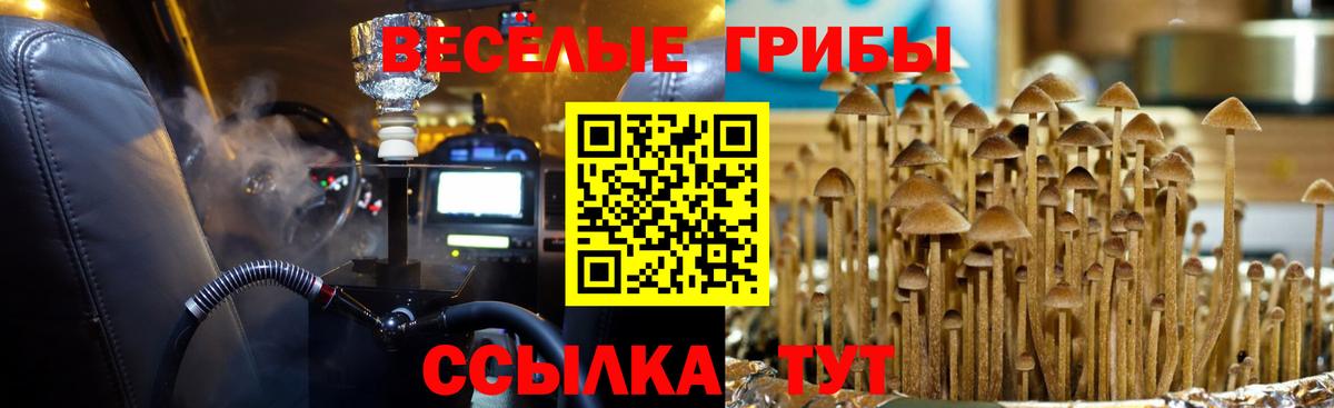 Псилоцибиновые грибы ЛСД  Галлюциногенные грибы MAGIC MUSHROOMS  Коммунар  Вход с VPN 